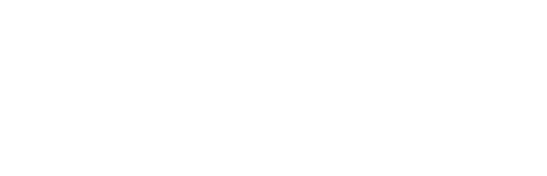 TS Logo